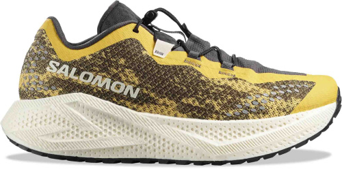 Кроссовки беговые Salomon Aero Glide 4 GRVL