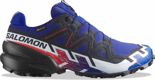 Кроссовки беговые Salomon Speedcross 6 GTX Equipe