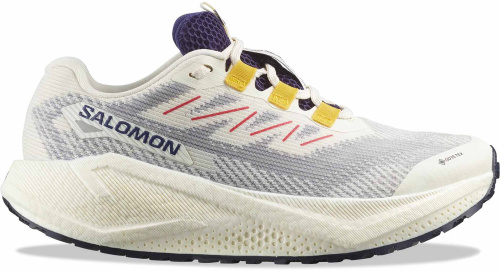 Кроссовки беговые Salomon Aero Blaze 3 GRVL GTX W