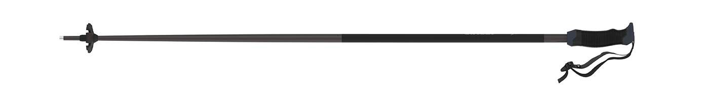 Горнолыжные палки Atomic AMT SQS Black 24/25