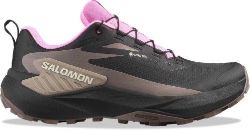 Кроссовки беговые Salomon Genesis GTX W