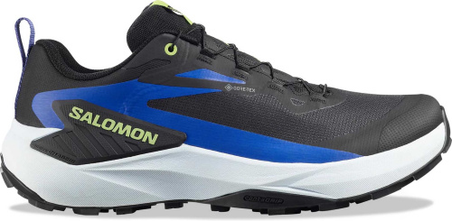 Кроссовки беговые Salomon Genesis GTX