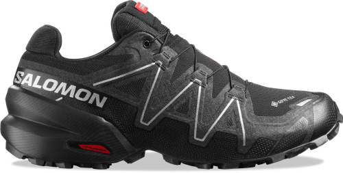 Кроссовки беговые Salomon Speedcross 6 GTX 20 Years Q1