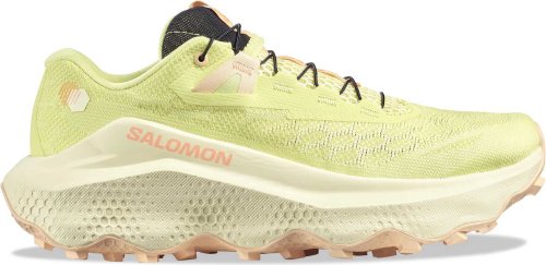 Кроссовки беговые Salomon Ultra Glide 4 W