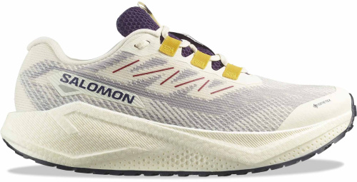 Кроссовки беговые Salomon Aero Blaze 3 GRVL GTX