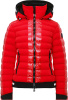 Norma (Pink Red 36)
