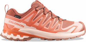 XA PRO 3D V9 GTX W (Pecan Brown / Nectarine / Almond Cream (UK: 4.5))