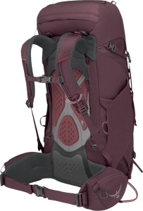 Kyte 38 Elderberry Purple (M-L)
