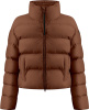 W24-1203-WO (Choco Brown L)