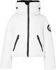 Porter (White 38)