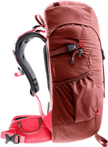 Climber 22 (Redwood-hibiscus)