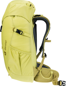 Climber 22 (Sprout-linden)