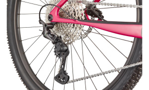 Scalpel HT Carbon 4 29 (Orchid XL)