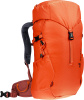 Climber 22 (Papaya-redwood)