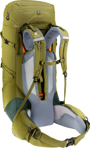 Aircontact Core 50+10 (Cactus-ivy)