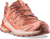 XA PRO 3D V9 GTX W (Pecan Brown / Nectarine / Almond Cream (UK: 4.5))
