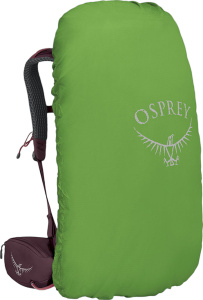 Kyte 38 Elderberry Purple (M-L)