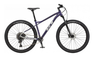 Avalanche Expert 29 (PUR M)
