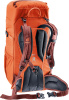 Climber 22 (Papaya-redwood)