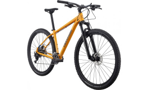 Trail 5 29 (Mango MD)