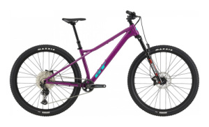 Zaskar LT Pro 29 (RAS M)