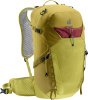 Speed Lite 25 (Linden-sprout)