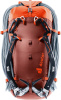 Guide 30 (Redwood-papaya)