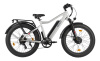 BigCat Dual Next PRO (серебристый матовый)