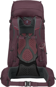 Kyte 48 Elderberry Purple (XS-S)
