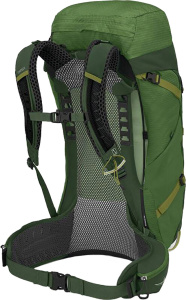 Stratos 44 Seaweed Matcha Green (One Size)
