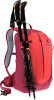 AC Lite 17 (Cherry-masala)