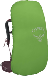 Kyte 68 Elderberry Purple (M-L)