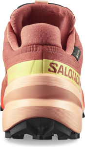 Speedcross 6 GTX W (Pecan Brown / Almond Cream / Sunny Lime (UK: 4.5))