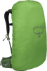 Stratos 44 Seaweed Matcha Green (One Size)