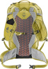 Speed Lite 25 (Linden-sprout)