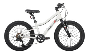3BIKE 20 (Серый One Size)
