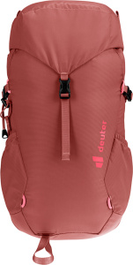 Climber 22 (Redwood-hibiscus)