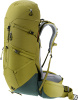 Aircontact Core 50+10 (Cactus-ivy)