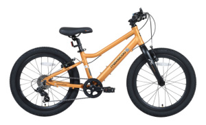 5BIKE 20 (Оранжевый Матовый One Size)