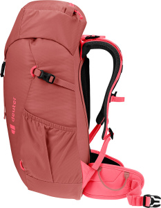 Climber 22 (Redwood-hibiscus)