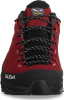 Alp Trainer 2 GTX W (Syrah/Black UK:4,5)