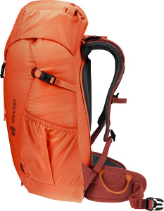 Climber 22 (Papaya-redwood)