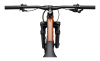 Habit HT 1 29 (Cinnamon MD)