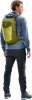 Speed Lite 17 (Linden-cactus)