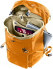 Walker 24 (Maple)