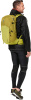 Speed Lite 25 (Linden-sprout)